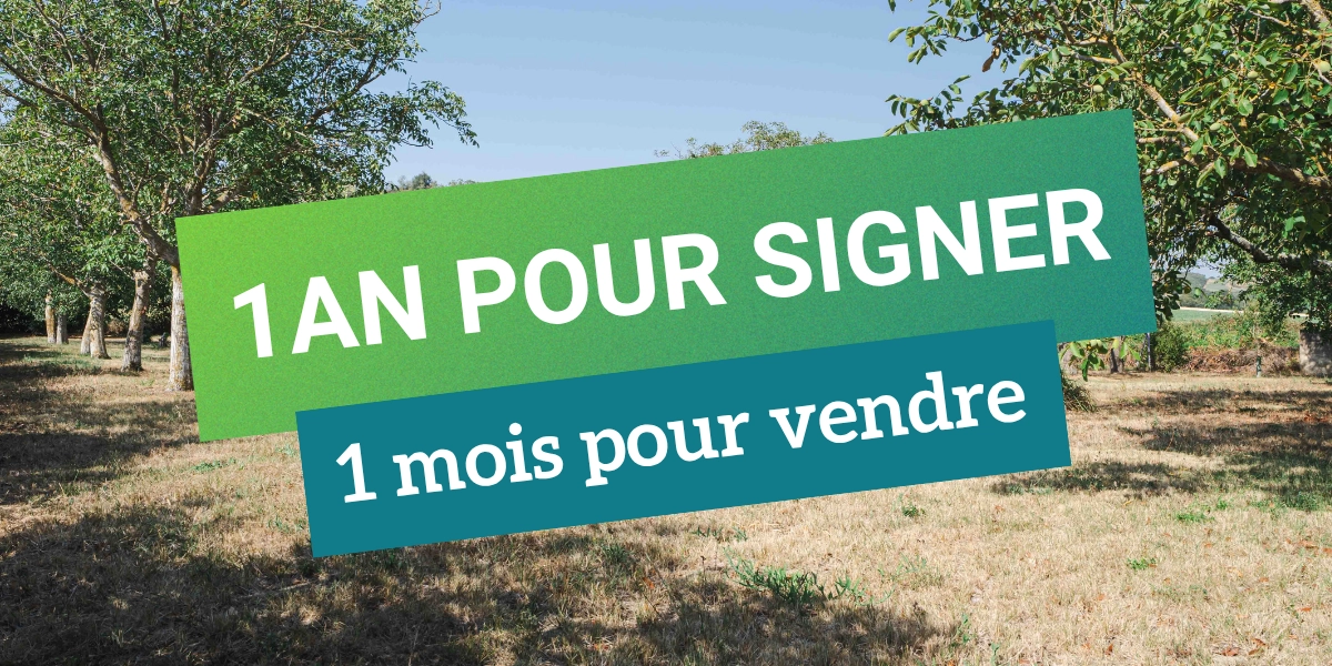 Un an pour signer, un mois pour vendre : les coulisses d&rsquo;une vente immobili&egrave;re &agrave; Mas-Saintes-Puelles