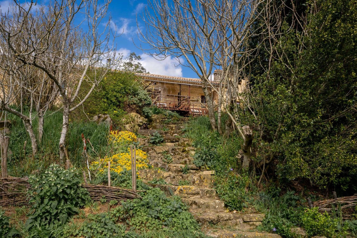 Ferme Lauragaise r&eacute;nov&eacute;e - Vue Pyr&eacute;n&eacute;es