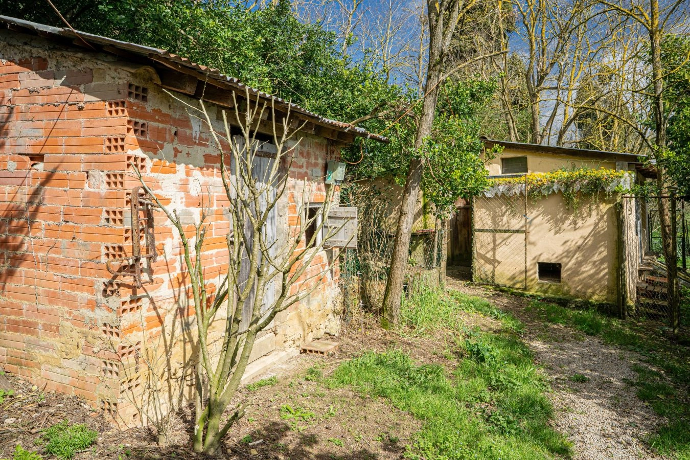 Ferme Lauragaise r&eacute;nov&eacute;e - Vue Pyr&eacute;n&eacute;es