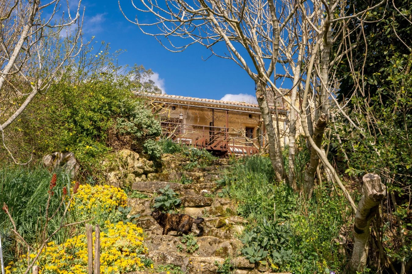 Ferme Lauragaise r&eacute;nov&eacute;e - Vue Pyr&eacute;n&eacute;es
