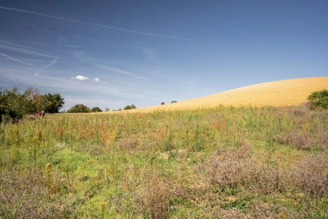  Terrain &agrave; b&acirc;tir avec vue imprenable