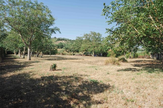  Maison individuelle - Garage et Jardin