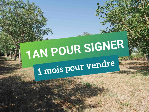 Un an pour signer, un mois pour vendre : les coulisses d&rsquo;une vente immobili&egrave;re &agrave; Mas-Saintes-Puelles